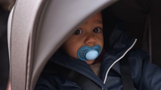 Коляска 2в1 Anex iQ 2025 смотреть онлайн