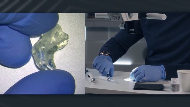 Фундаментальные принципы использования файлов EndoView