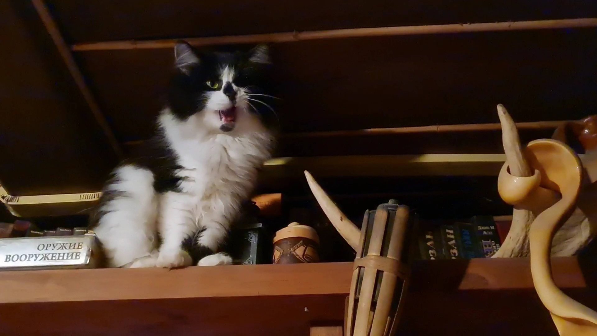 Прогулка по деревне, пушистая проныра и вечер у печки смотреть онлайн