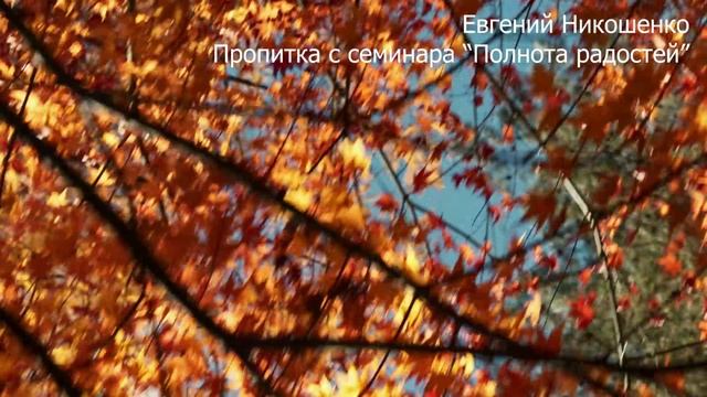 Молитвенная пропитка 9 - Евгений Никошенко (с семинара "Полнота радостей") смотреть онлайн