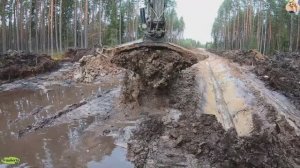 Строительство, дренажные работы в лесу, продолжение