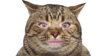 Не хотят слушать и донатить#лысенко смотреть онлайн