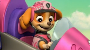 #ЩЕНЯЧИЙ#ПАТРУЛЬ#PAW#PATROL#ЖМИ#НА#РАКЕТУ#ДВИГАЙ#ТОП#ДАВАЙ#ЖМИ#ЩЕНЯЧИЙ#ПАТРУЛЬ