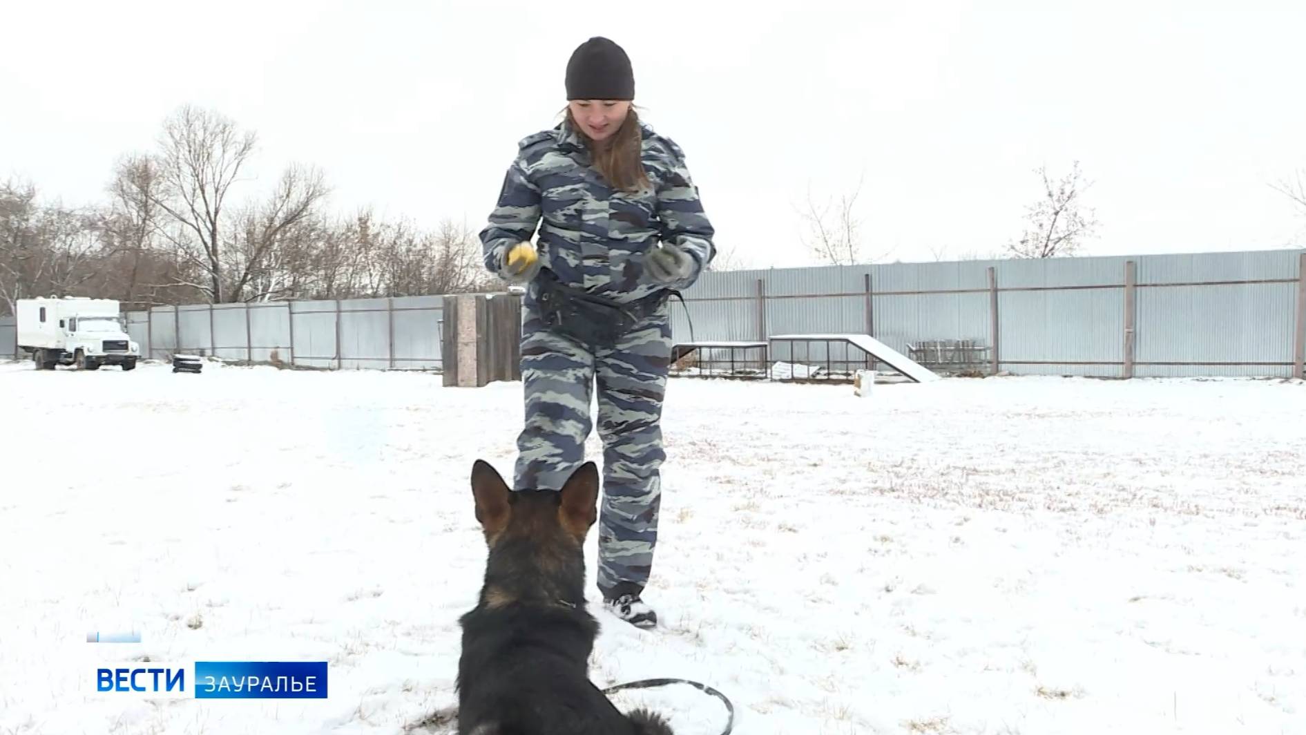 За последние 7 лет количество домашних животных в России увеличилось смотреть онлайн