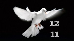 12.11.2025 - Прямая трансляция ст.Елизаветинская