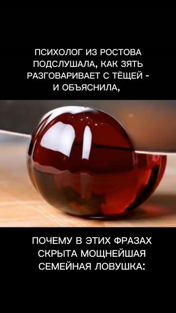 Как зять разговаривает с тещей