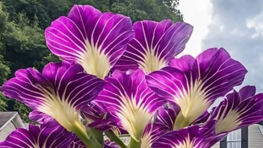 In The World Of Flowers