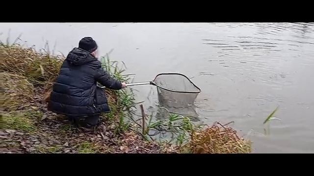 Светлые Горы Щука 12.11.2025г. смотреть онлайн