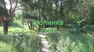 Тропинка. Музыка Сергея Чекалина. Path. Music by Sergey Chekalin.