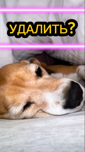 РУКА НЕ ПОДНИМЕТСЯ НА ТАКОЕ🥲