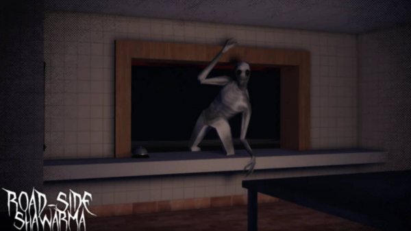 Road-side shawarma #1