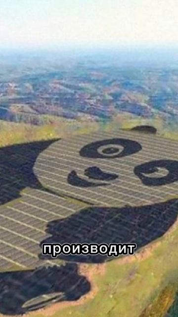 солнечная электроэнергия в форме гигантской панды.