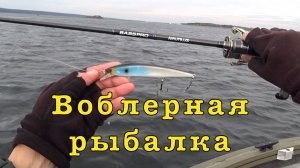 ЩУКА на мелководье. Ловим ВОБЛЕРАМИ.