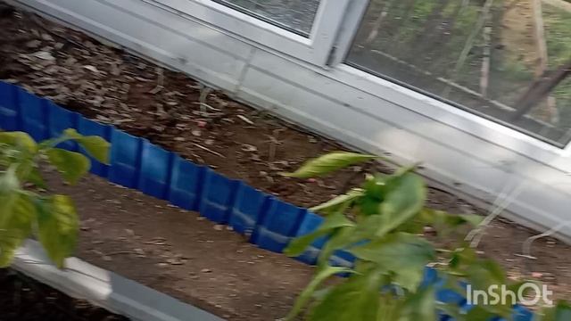 ✅Влог. Ноябрь. Мы на даче. Работаем в саду и огороде. смотреть онлайн