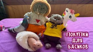 Покупки для котиков Басиков + Новая реборн-свинка! 🐱🐷 | Уход, распаковка, уютный обзор