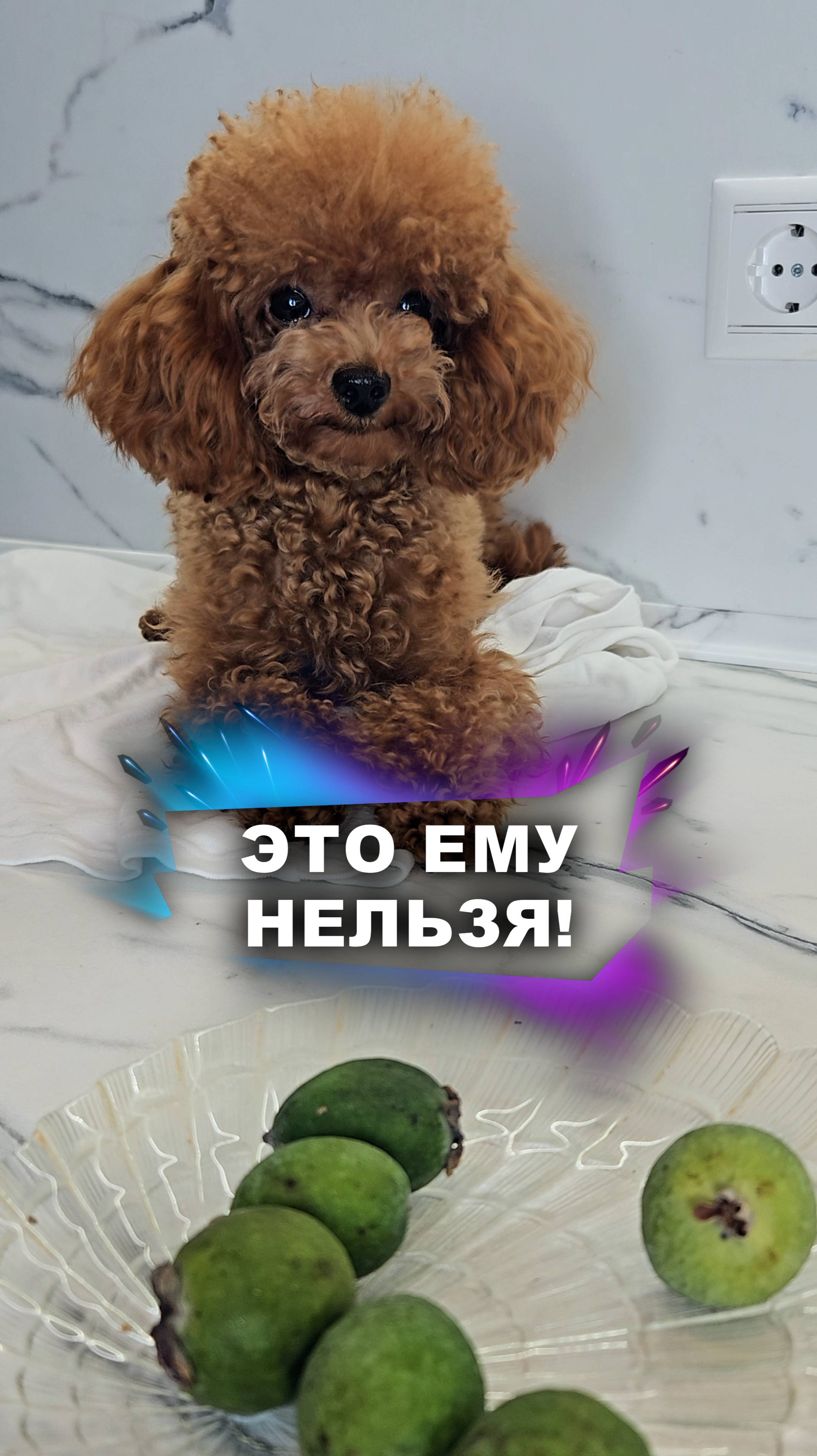 Не сильно он и хотел #животные смотреть онлайн