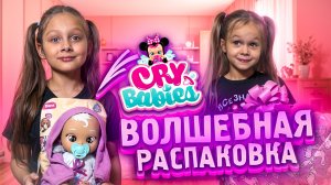 У нас появилась новая малышка!