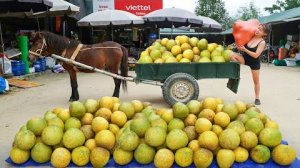 Используйте конную повозку, чтобы собрать много грейпфрутов. Чтобы продать их на рынке.