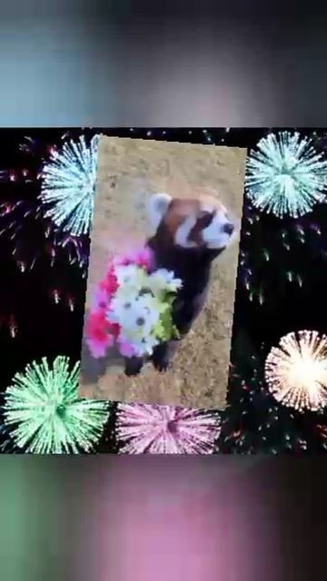 с днюхой сбер