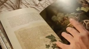 Новая книга Дарьи Левиной "Тропинка к творчеству": листаем и наслаждаемся