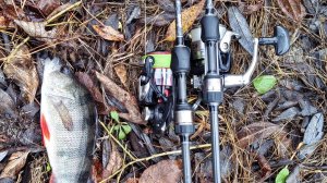 рыбалка на спиннинг в Ноябре - окунь