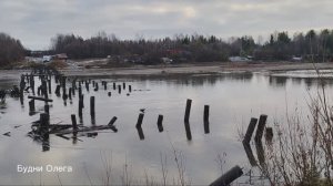 Сходил в магазин, и вот что я купил сегодня. 07.11.25