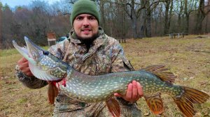 ЭТА ЩУКА ДАЛА ЖЁСТКИЙ БОЙ! Ловля щуки на спиннинг в ноябре