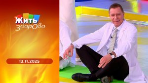 Жить здорово! Выпуск от 13.11.2025