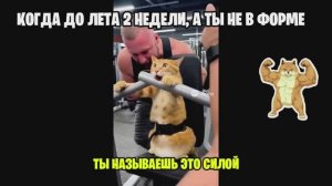 ИИ Приколы с животными ч2 (sora2) Это просто ржач! 😂😂😂