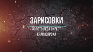 Золото леса окрест Красноярска