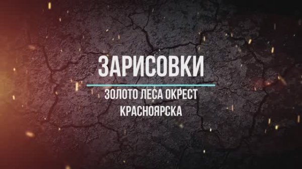 Золото леса окрест Красноярска