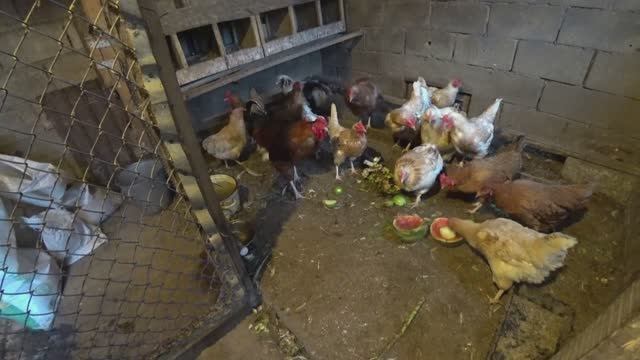 Влог от 17.09.2021 смотреть онлайн