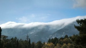 Песенная Медитация на Чайном Дворике 🎼🎧🎻🔥 13.11.2025