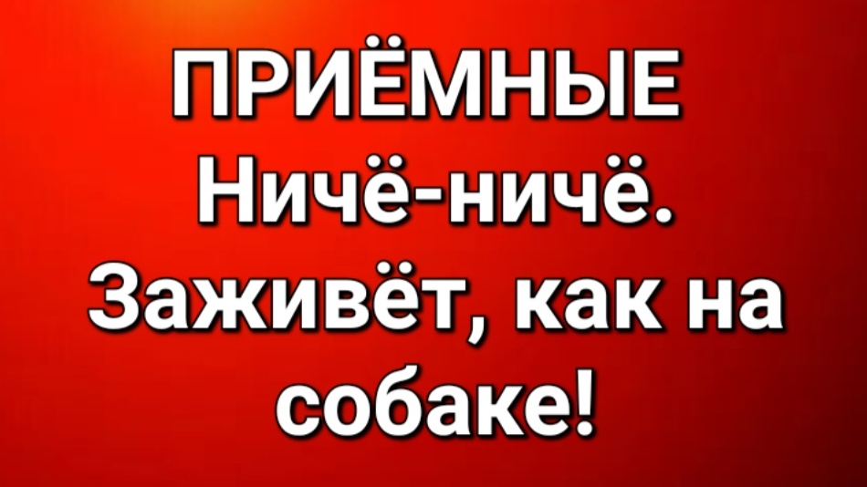 Приёмные/В последних сериях. смотреть онлайн