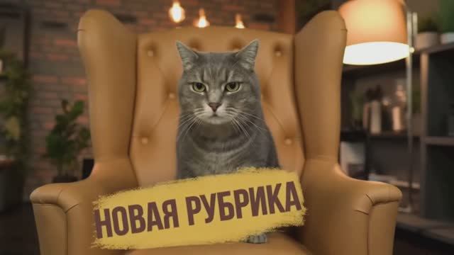 Новая рубрика
