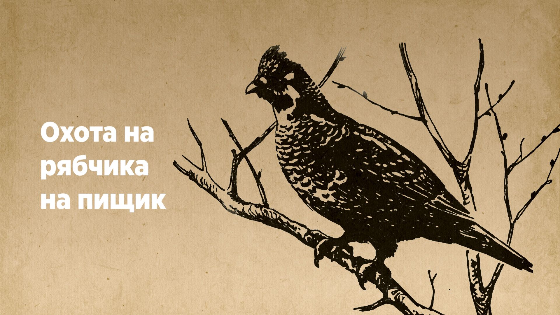 Охота на рябчика на пищик смотреть онлайн