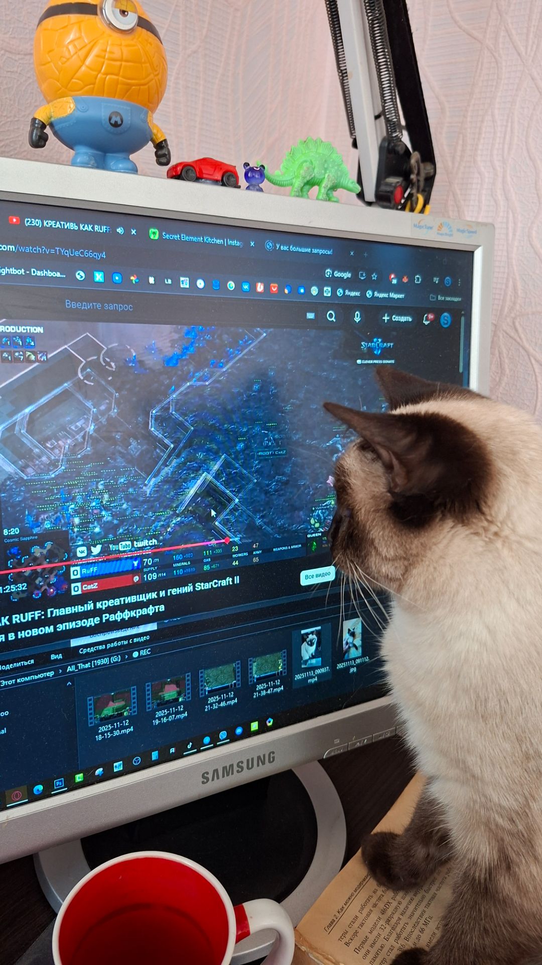 Тренирую новое поколение старкрафтеров 🌟🐈 смотреть онлайн