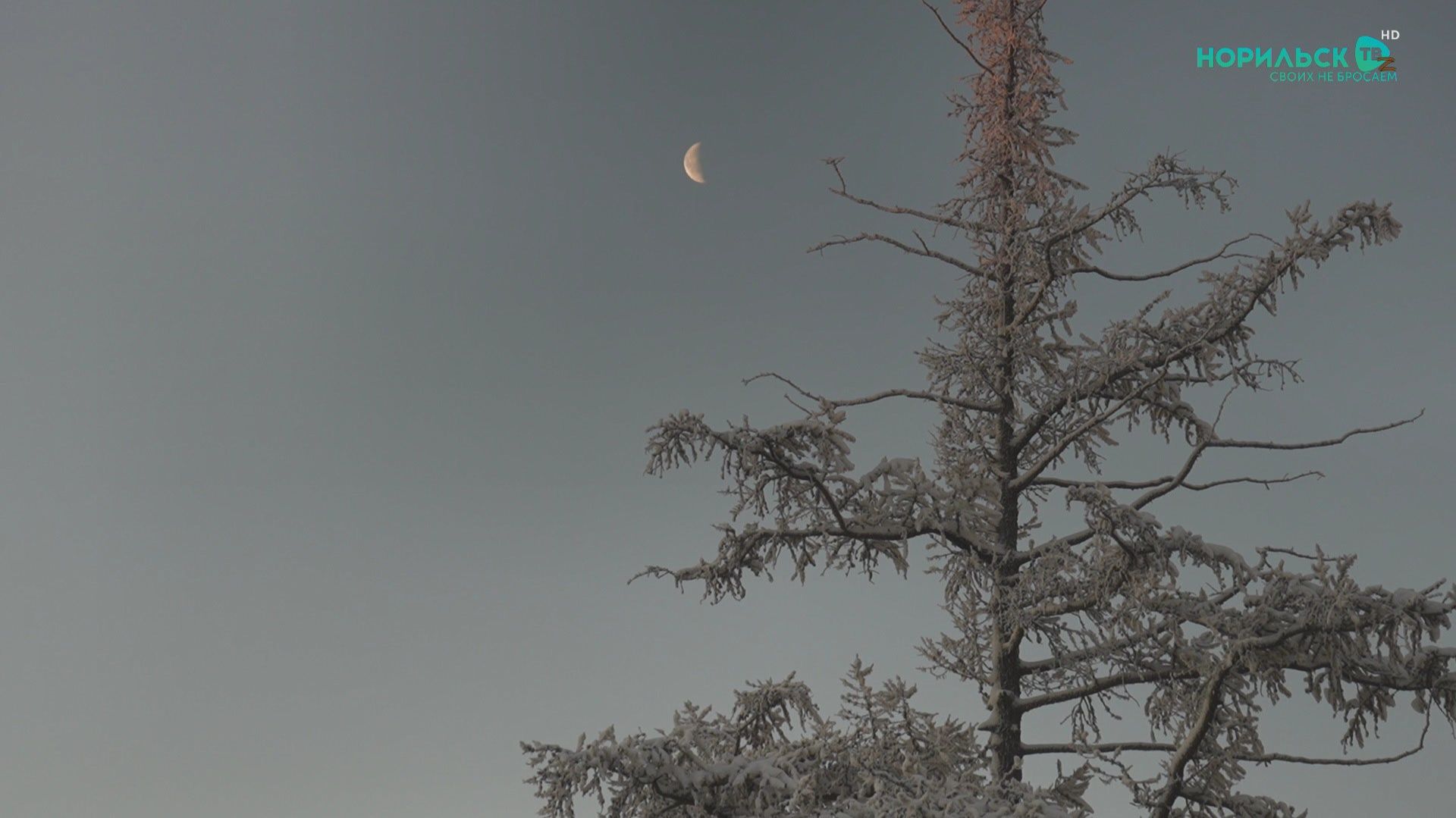 Норильские новости – 13.11.2025 смотреть онлайн