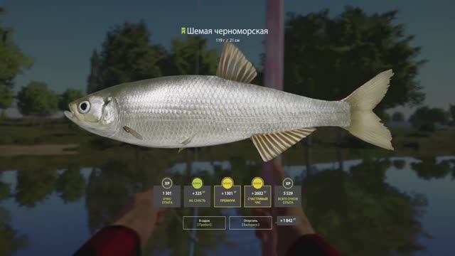 ЛУЧШИЙ ФАРМ ДЛЯ НОВИЧКА НА МАХИ НА СЕВЕРСКОМ ДОНЦЕ НА ШЕМАЕ В РУССКОЙ РЫБАЛКЕ 4 РР4 смотреть онлайн