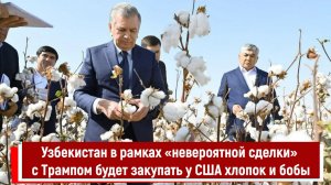 Узбекистан в рамках «невероятной сделки» с Трампом будет закупать у США хлопок и бобы