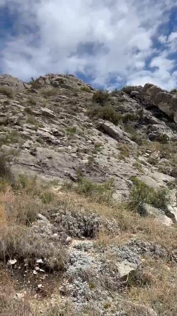 2025_05_07_12_46_IMG_0801 смотреть онлайн