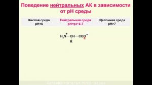 ЛЕКЦИЯ 4. АМИНОКИСЛОТЫ. БЕЛКИ