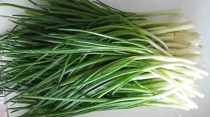 Свежий ЗЕЛЁНЫЙ ЛУК на Новый год: ПРОСТОЙ СПОСОБ вырастить ЗЕЛЕНЫЙ ЛУК дома за копейки! смотреть онлайн