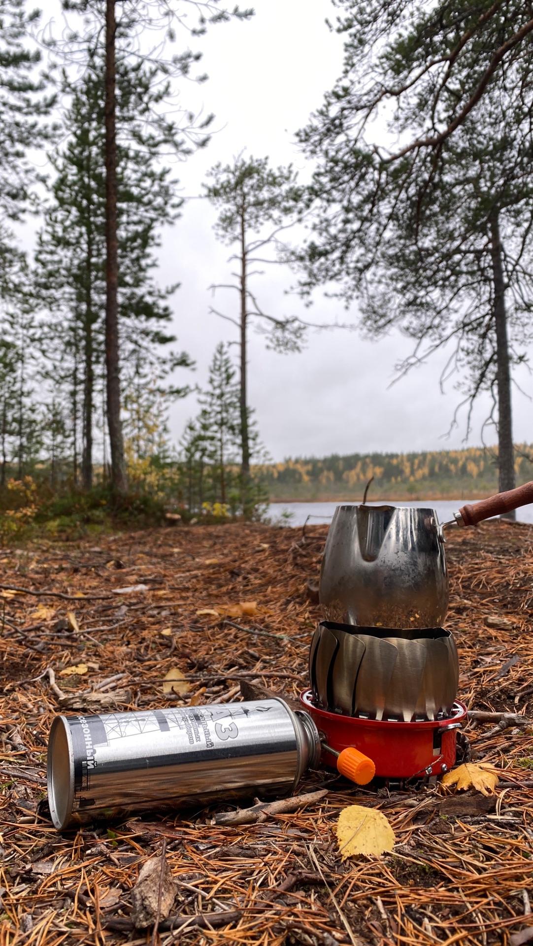 Что происходит 🐿️