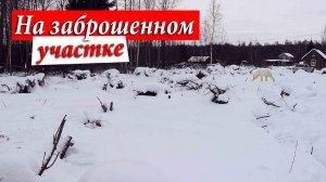 Наш первый приезд на дачу зимой