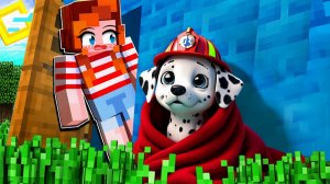 ШОК! 😭 МНЕ ПОДКИНУЛИ РЕБЁНКА МАРШАЛА ЩЕНЯЧИЙ ПАТРУЛЬ ПОД ДВЕРЬ! ЧТО ДЕЛАТЬ В МАЙНКРАФТ?