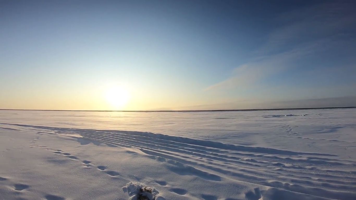 Рыбалка на Енисее. Труды не пропали зря, отличный улов. смотреть онлайн