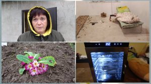 Это в ваших головах,а у нас по другому