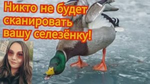 Мошенники разбегаются от Василисы в разные стороны 2 часть