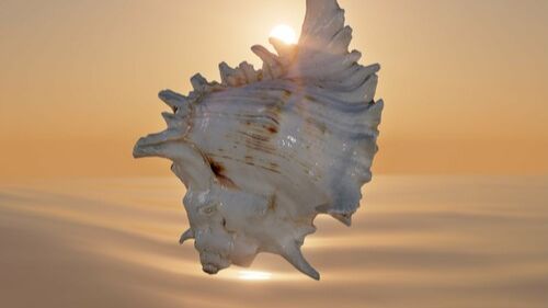 VA - Cafe del Mar Ibiza Chillout Mix V (DJ Mix) (2025) смотреть онлайн